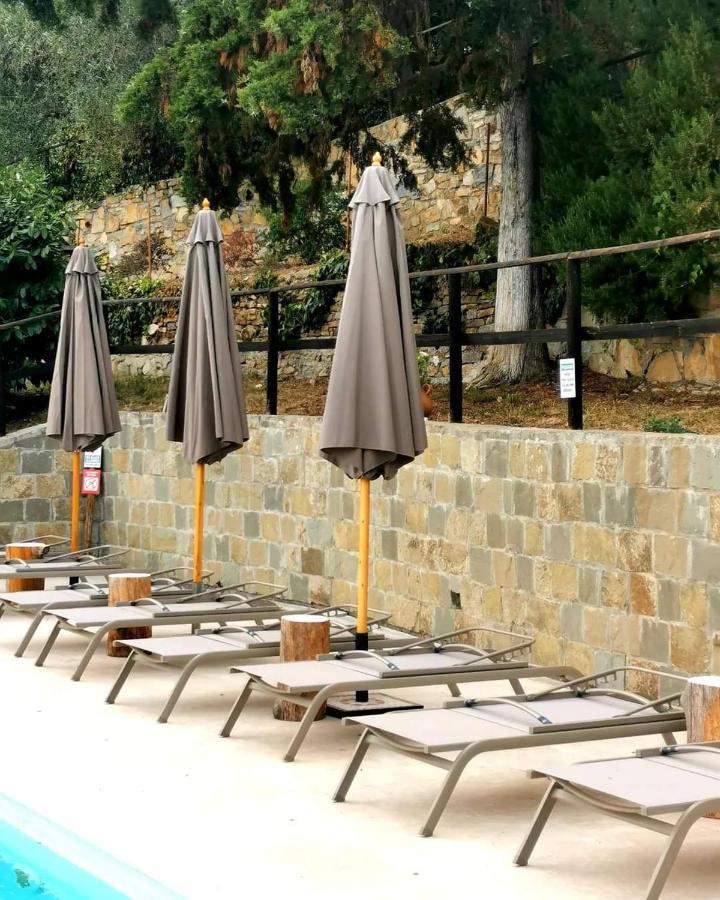 Agriturismo Osteria Du Barba Pe' - Casa Cassini Бордігера Екстер'єр фото
