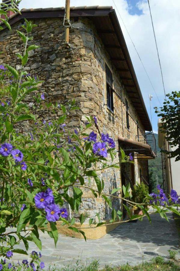 Agriturismo Osteria Du Barba Pe' - Casa Cassini Бордігера Екстер'єр фото